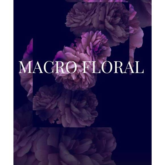 NEW CAMI NYC brooks bodysuit in macro floral - Picture 4 of 4